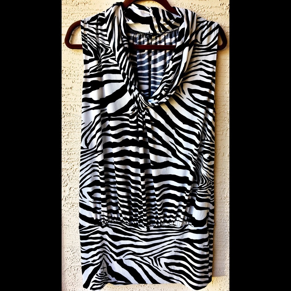 Express Dress - Picture 4 of 8